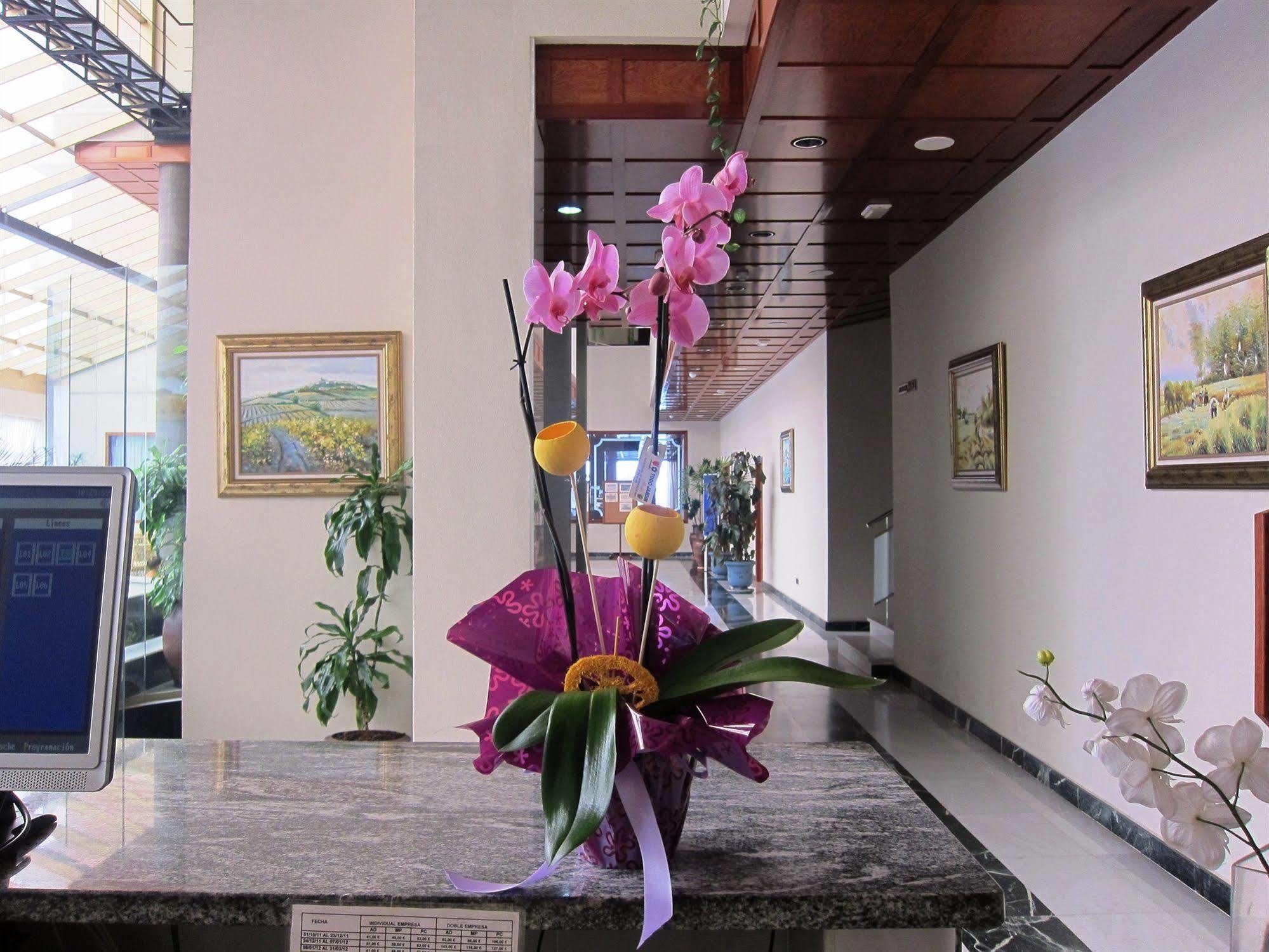 Don Angel - Adults Recommended Hotel Roquetas de Mar Bagian luar foto