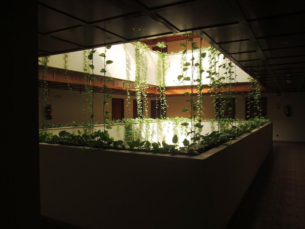 Don Angel - Adults Recommended Hotel Roquetas de Mar Bagian luar foto